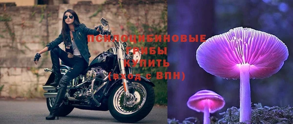 мяу мяу мука Абдулино