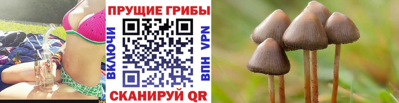 Галлюциногенные грибы Magic Shrooms магазин продажи наркотиков hydra рабочий сайт Емва
